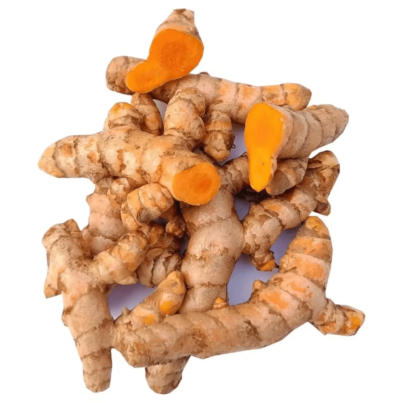 Premium Fresh Turmeric Root (Curcuma Longa) Export Quality – Bulk Supply for Food Processing, Spice & Herbal Use