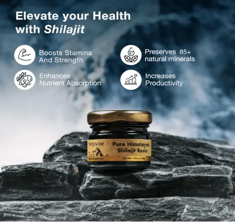 Shilajit