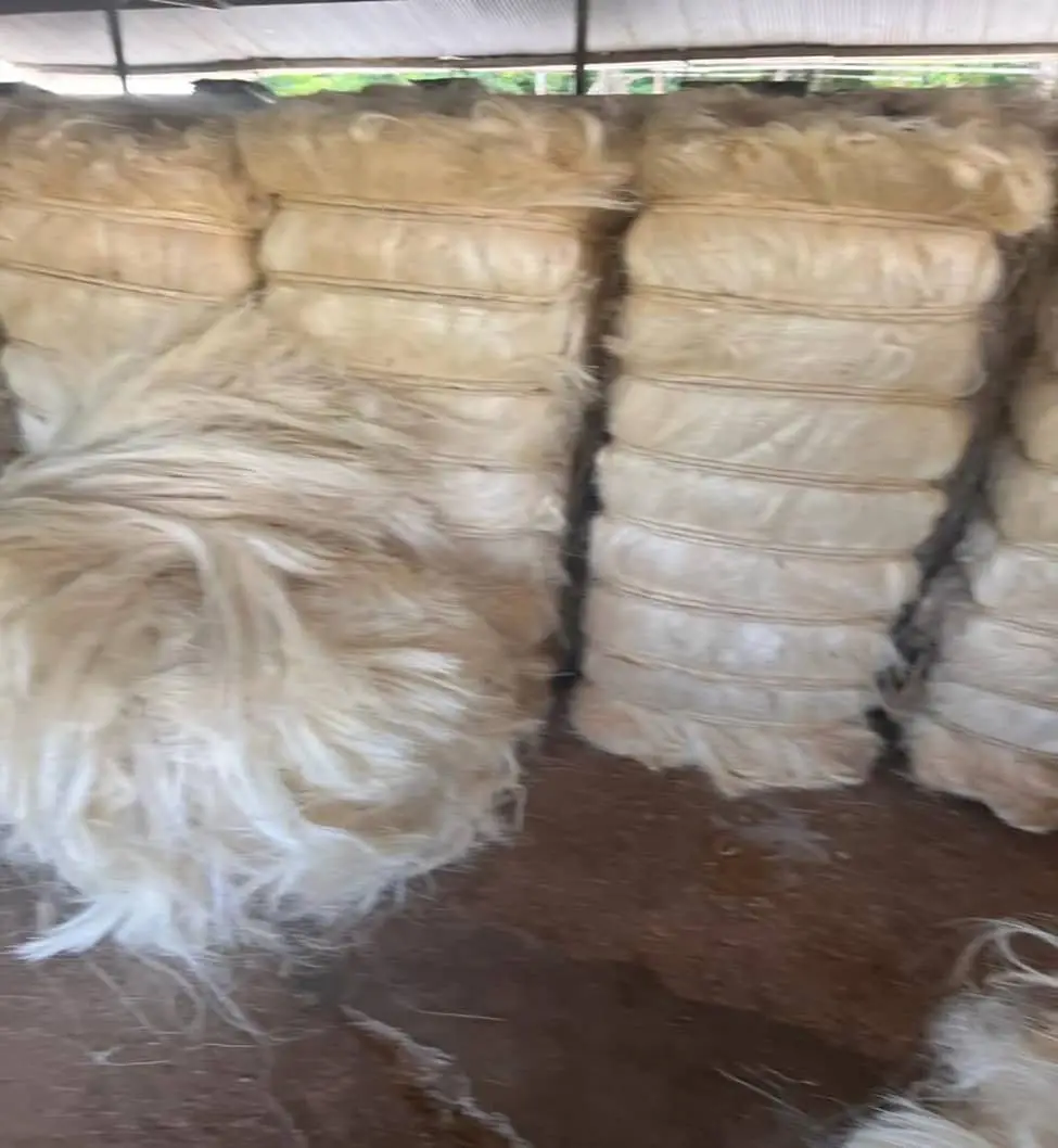 Sisal Fiber