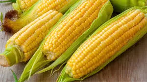 corns