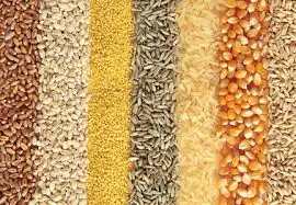 Grains