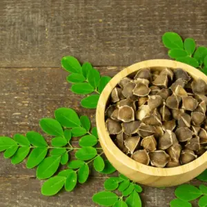 Moringa Seed