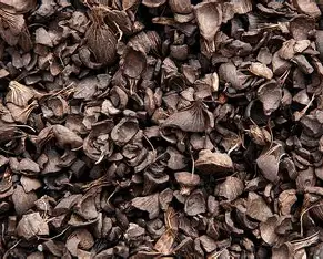Palm kernel shells