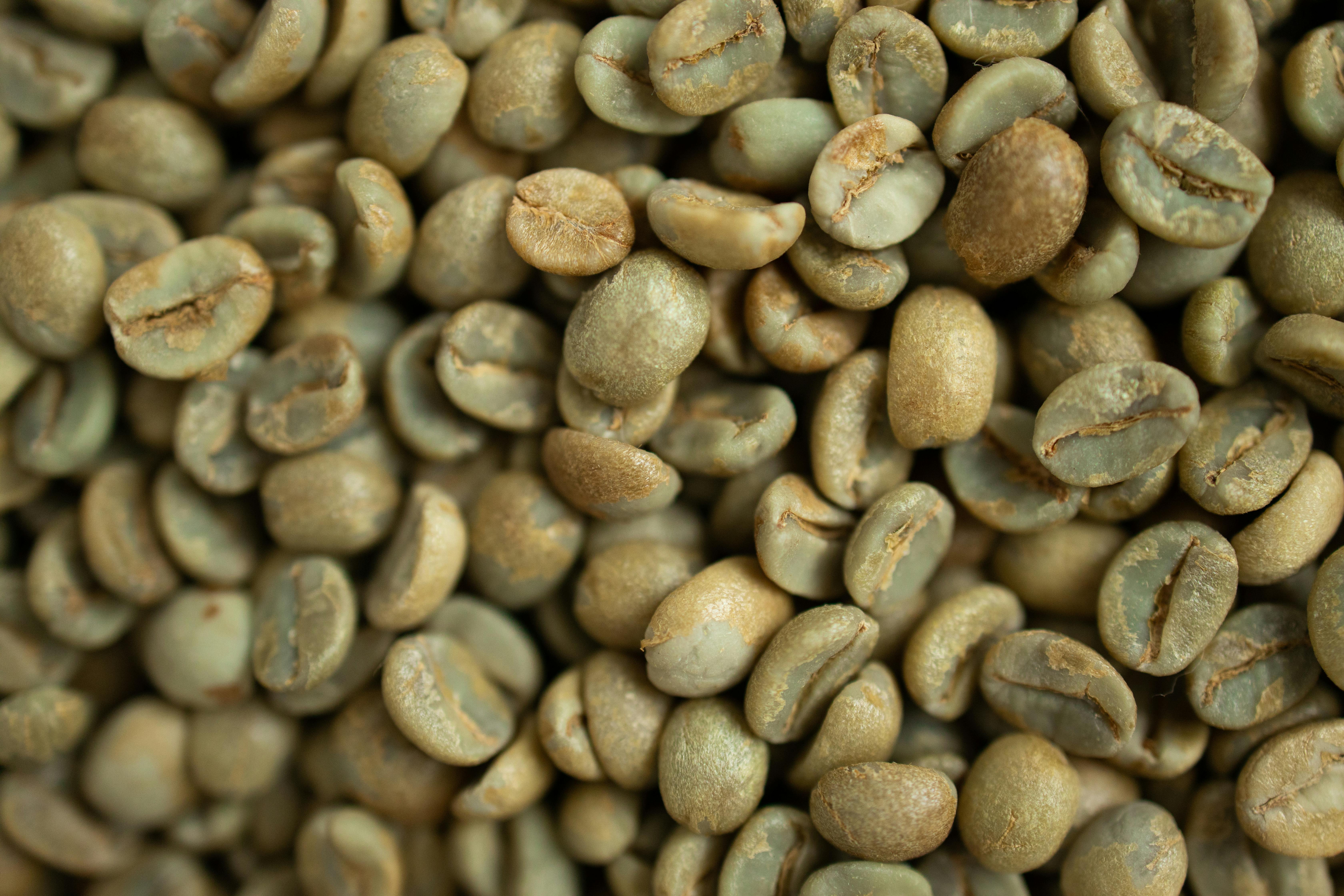 Coffee Beans