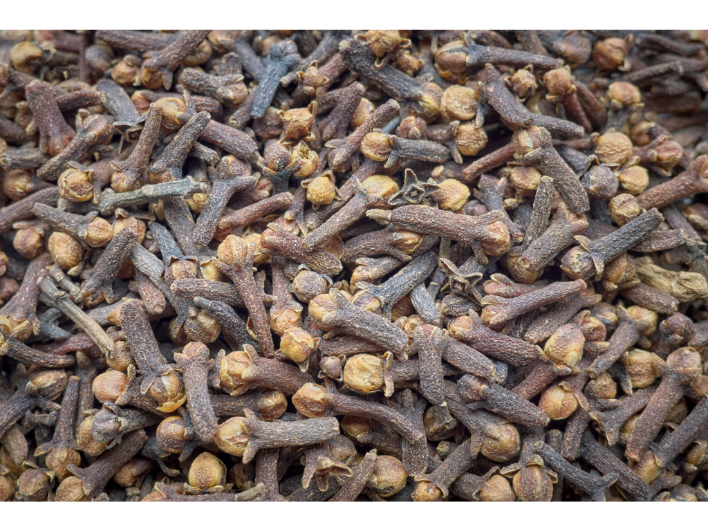 Indonesian Cloves