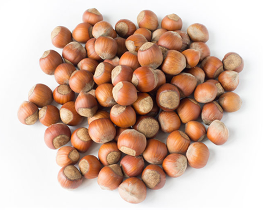 HAZELNUT KARNELS