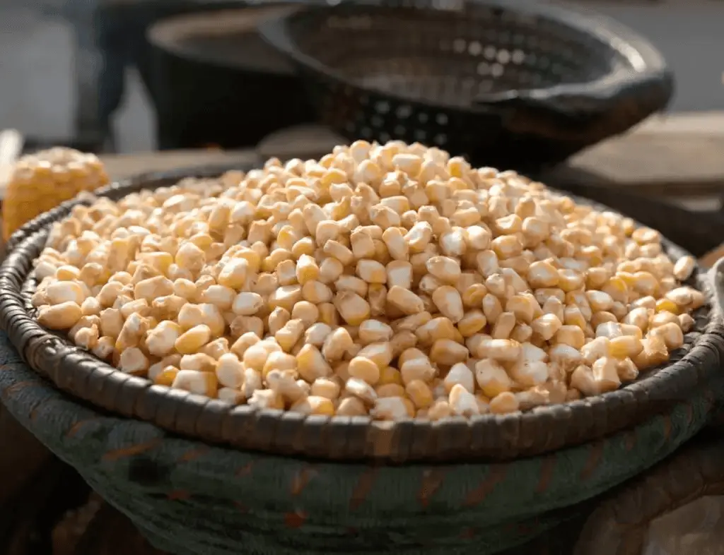 Best Quality Non GMO Yellow Corn