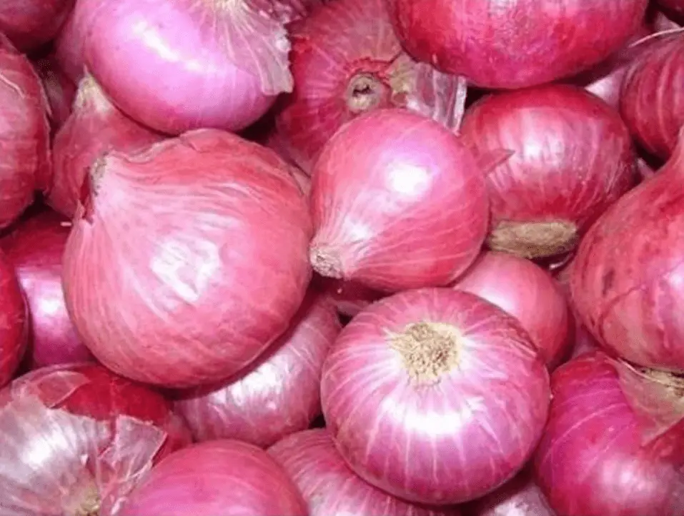 A Grade Dry Red Onion