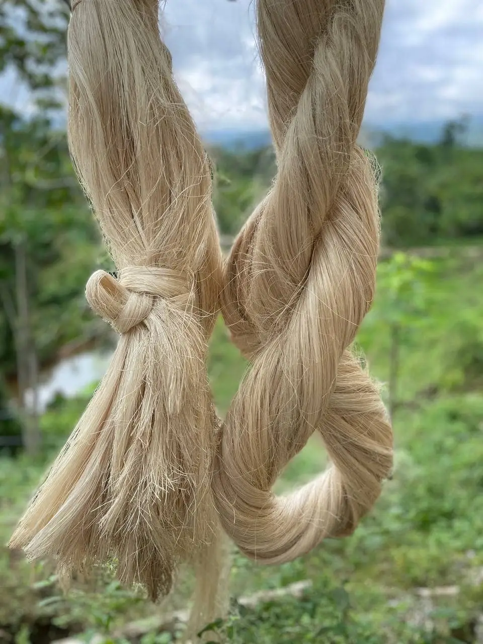 ABACA FIBER