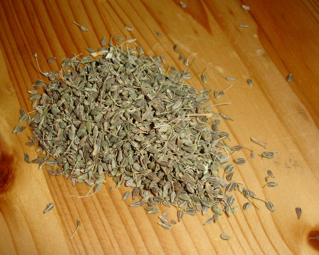 aniseed