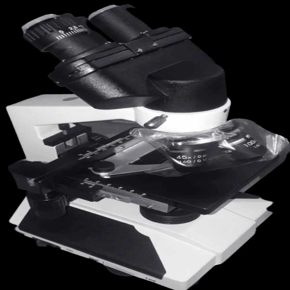 Binocular microscope