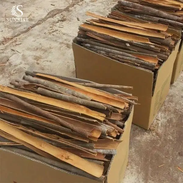 Cinnamon and Cassia from Vietnam