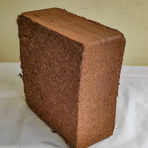 5KG Coco Peat Blocks