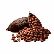 Cocoa Beans