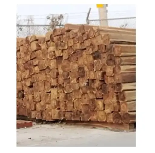 Coffee, cocoa, wood and avocado