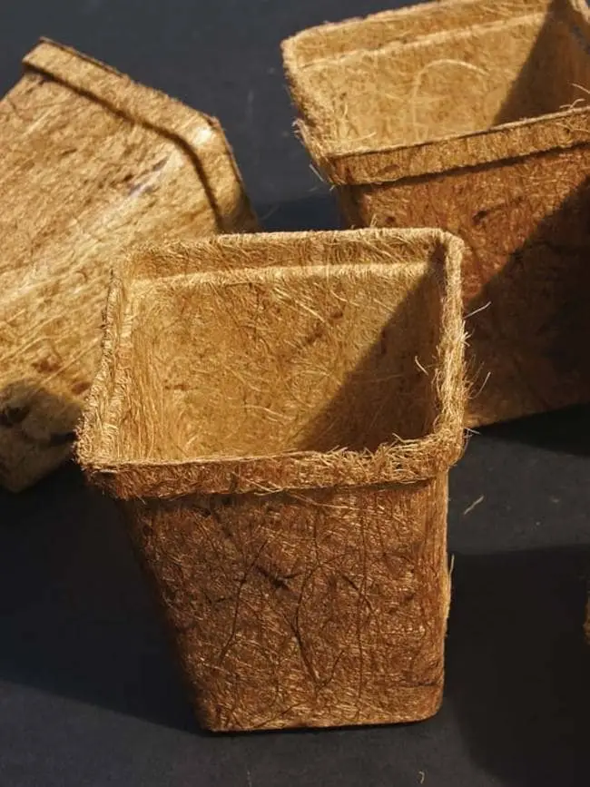 Coir Pots