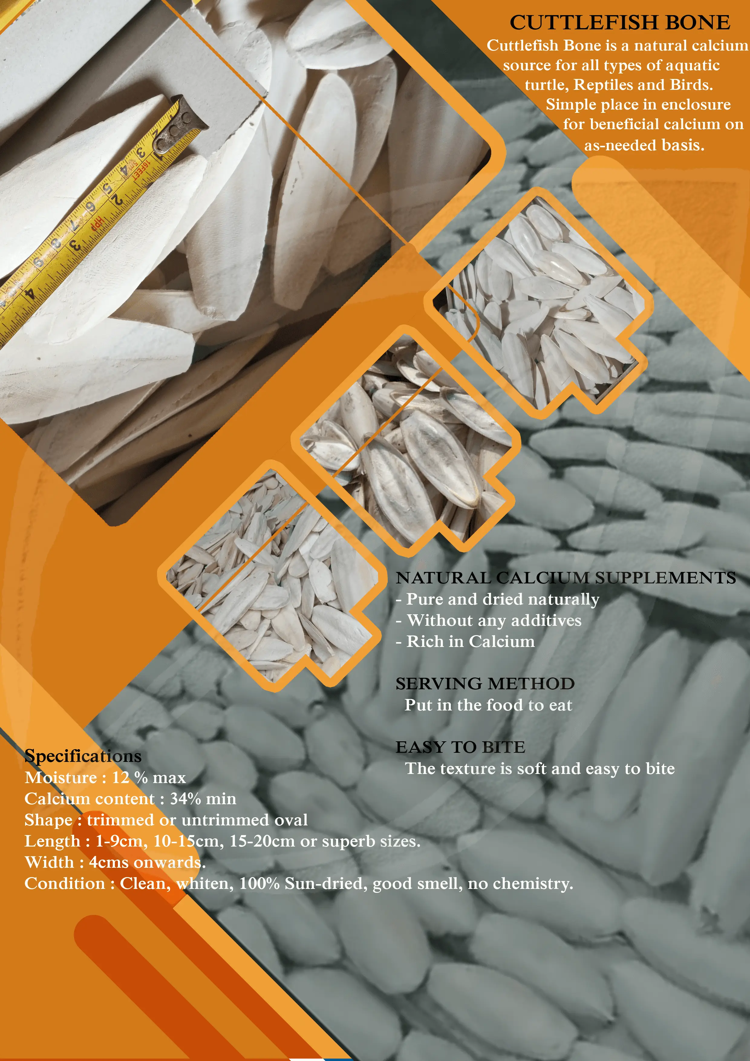 Cuttlefish Bone