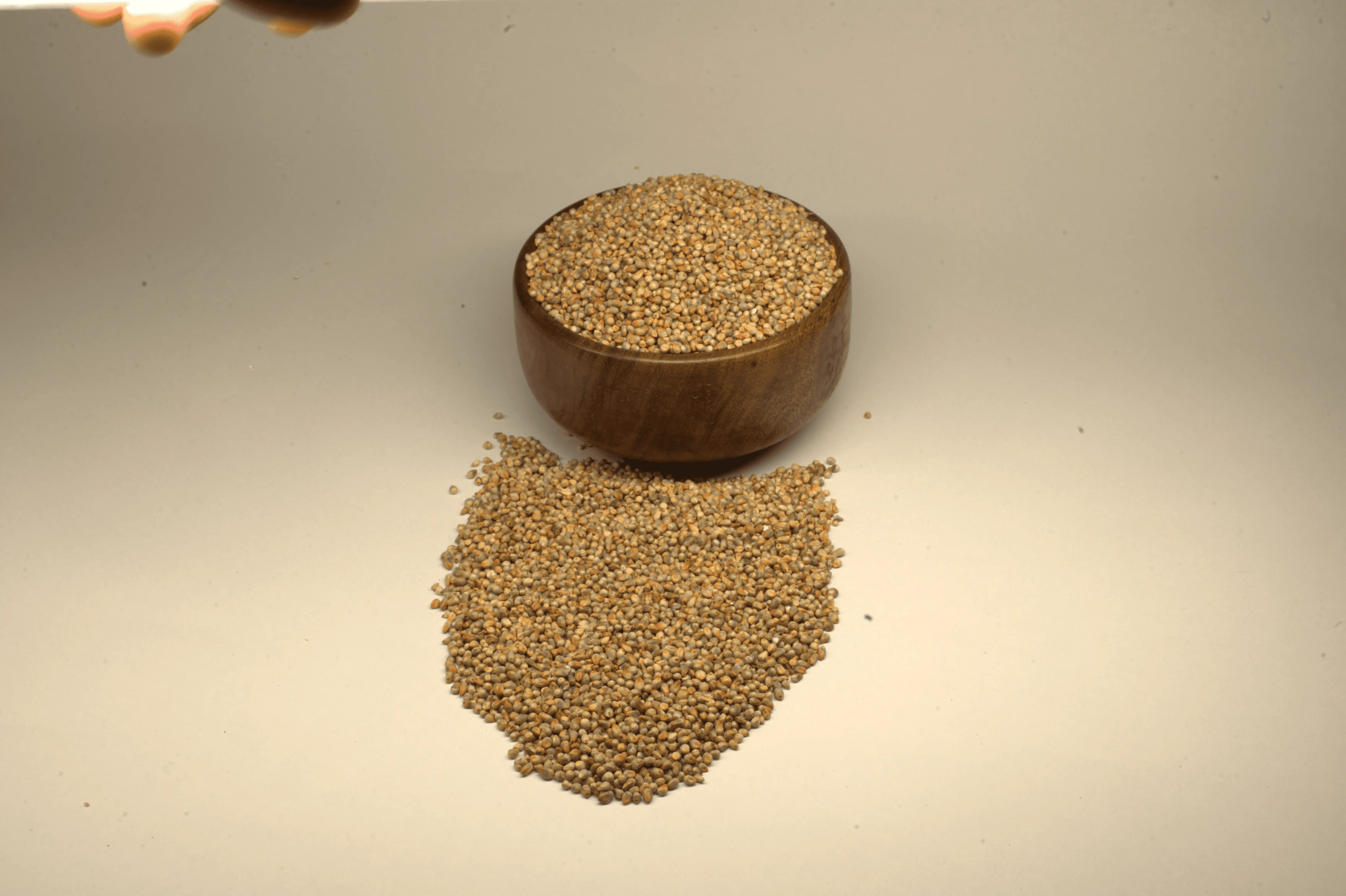 Pearl Millet