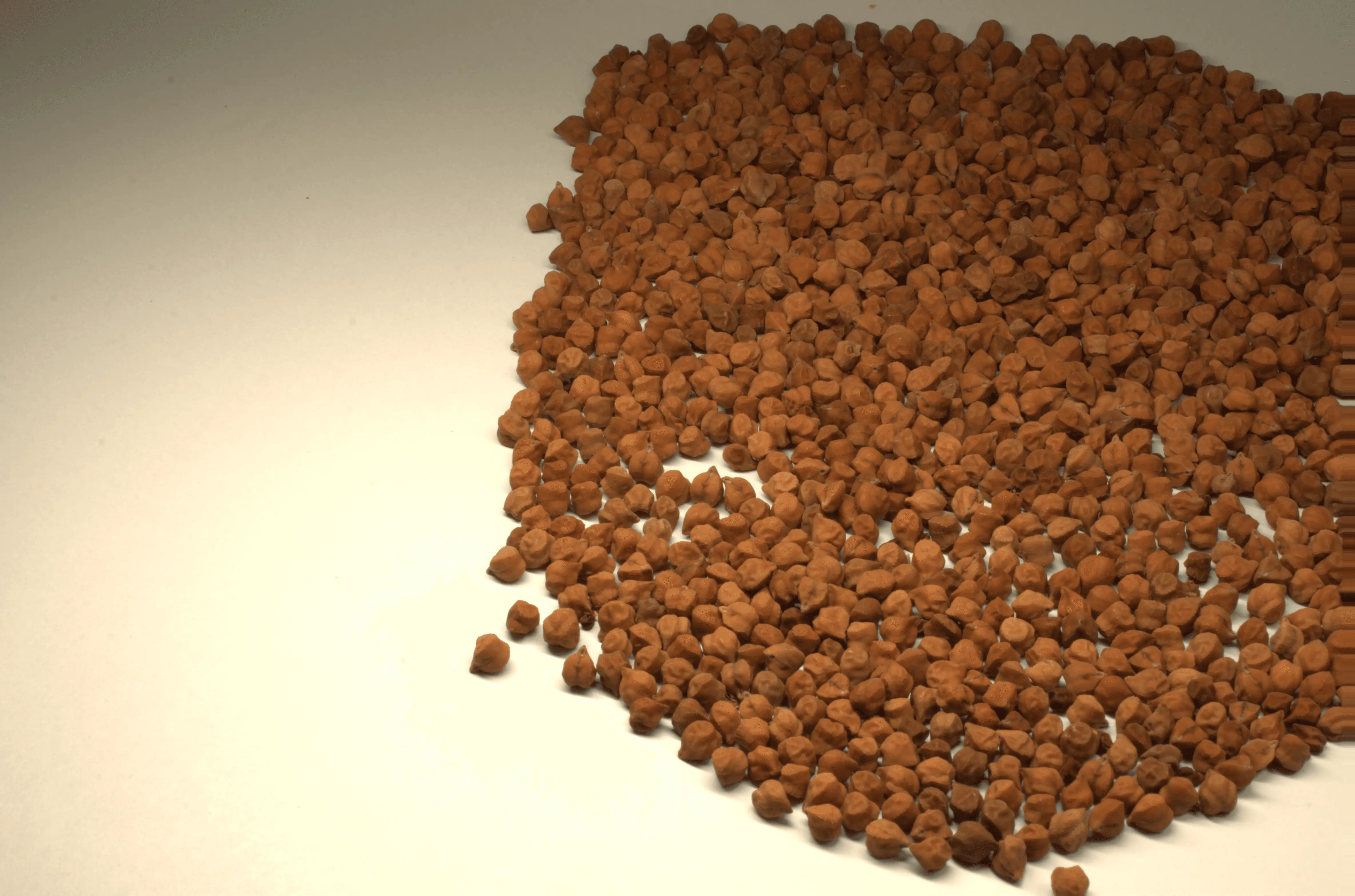Black chick peas