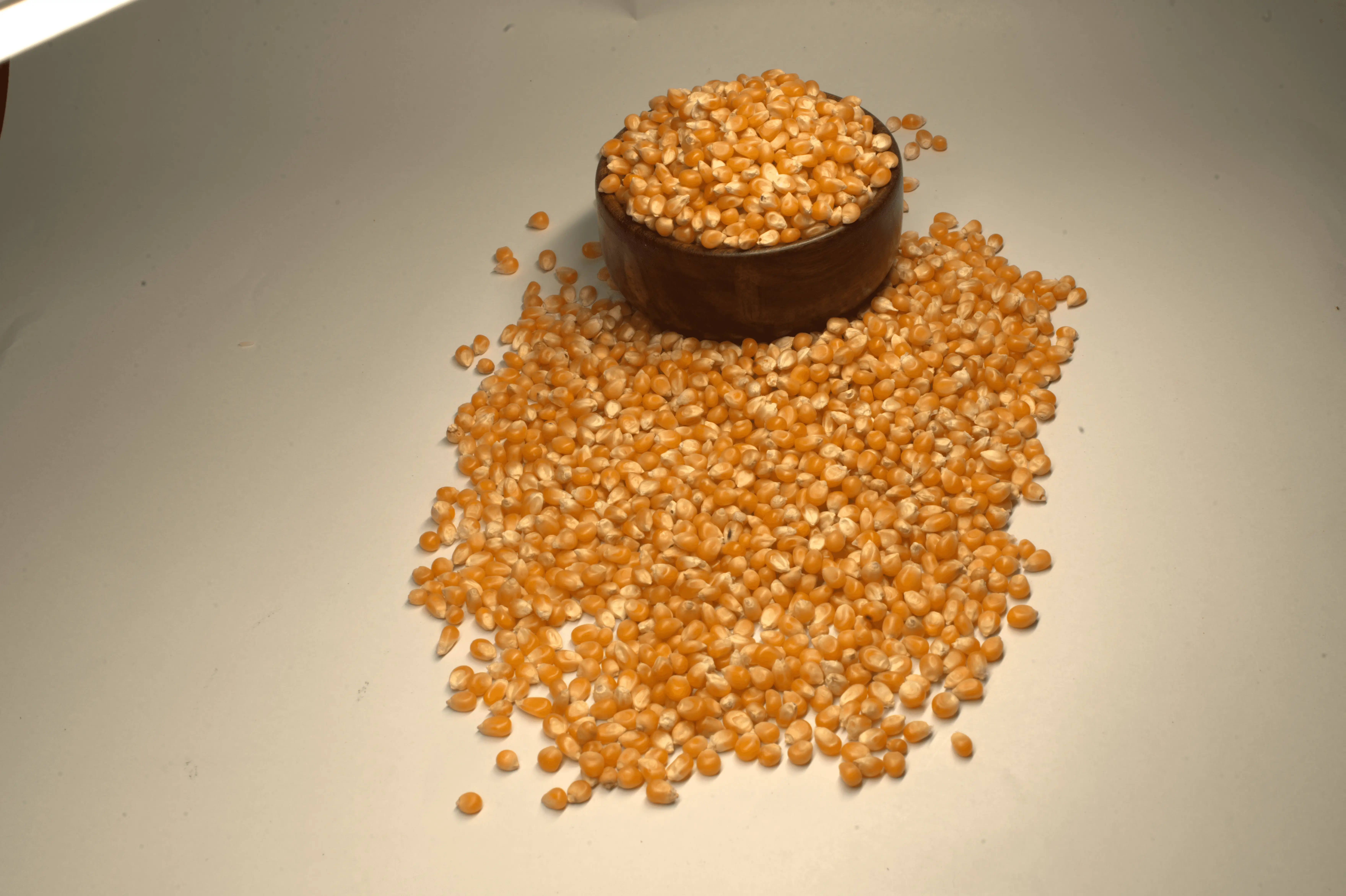 Yellow Maize