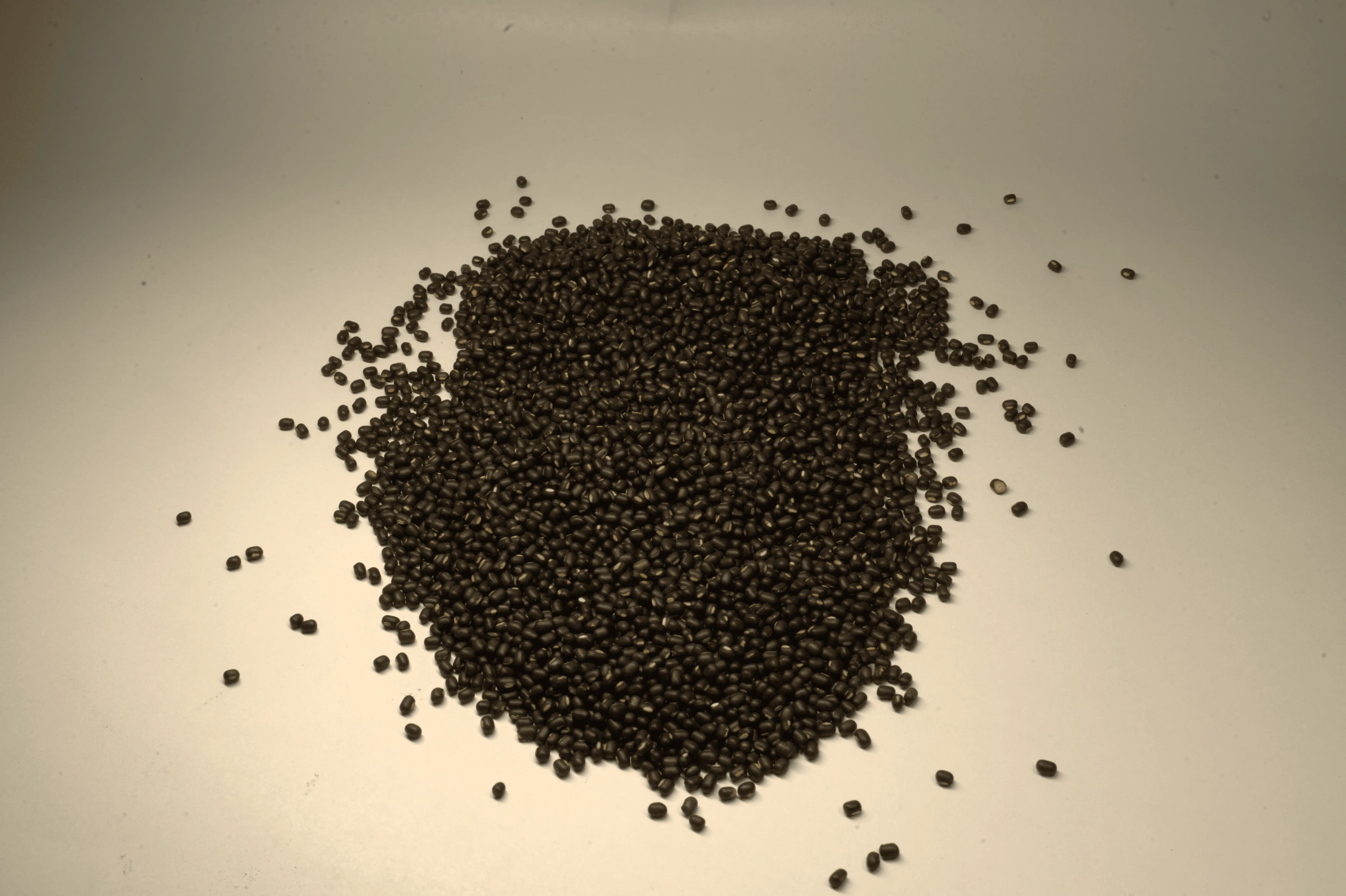 Black Gram