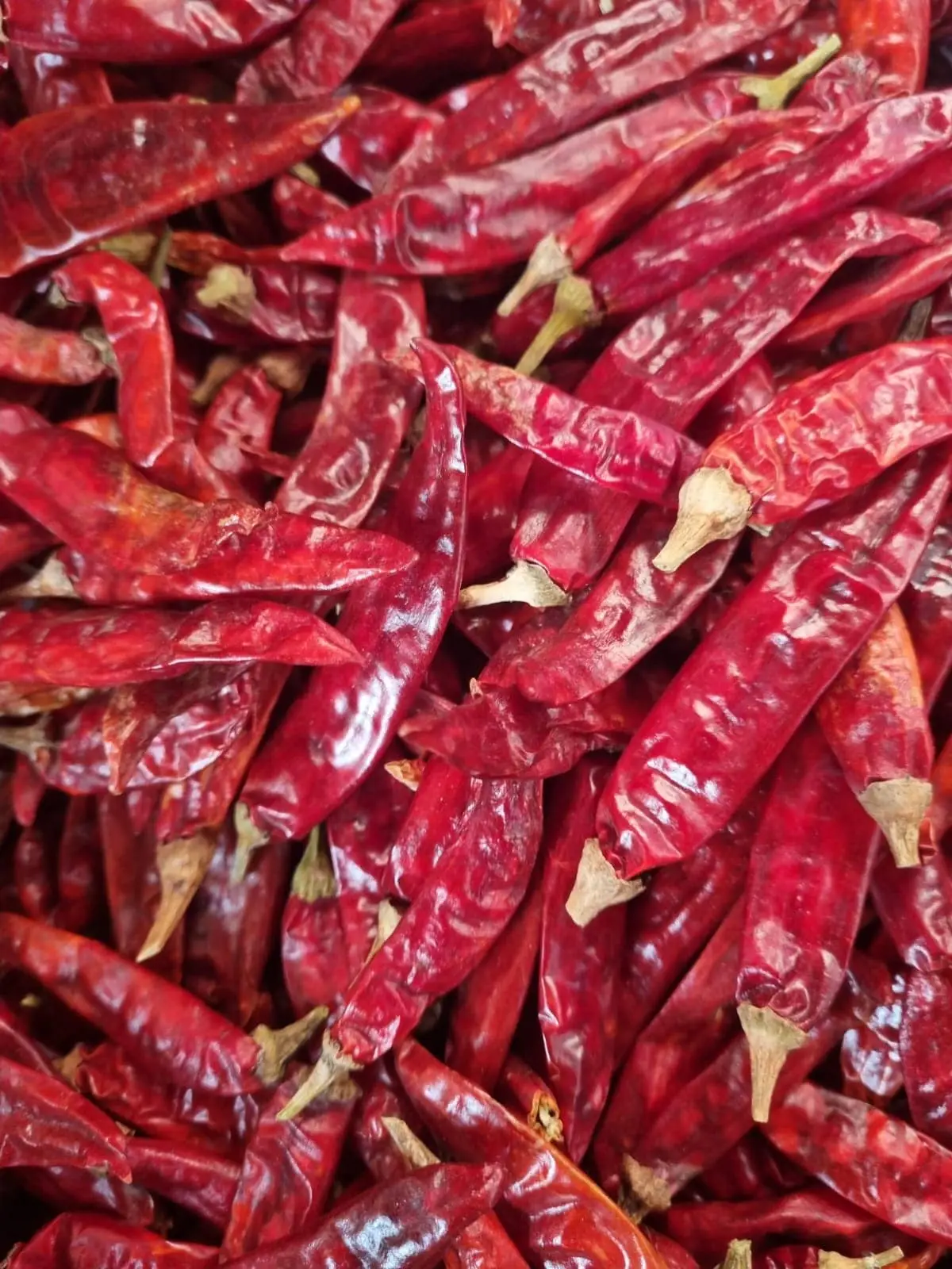 Dried Red Chilli
