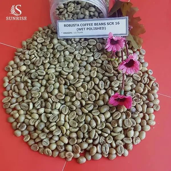 Green Robusta Coffee from Vietnam