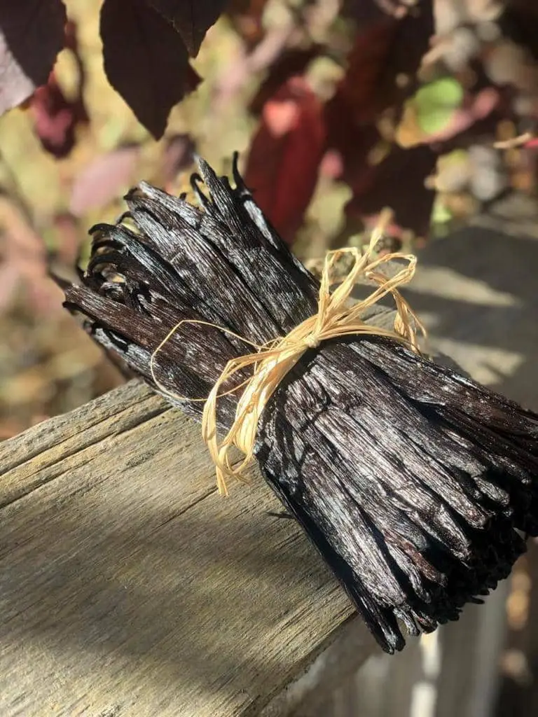 High quality vanilla beans