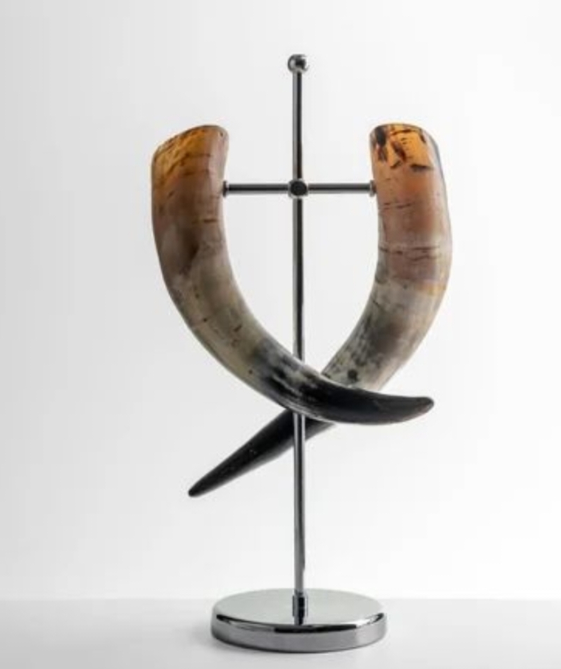 Buffalo Horn Natural Color Decorative All New Horn For Office Use Hand Polished And Unpolished