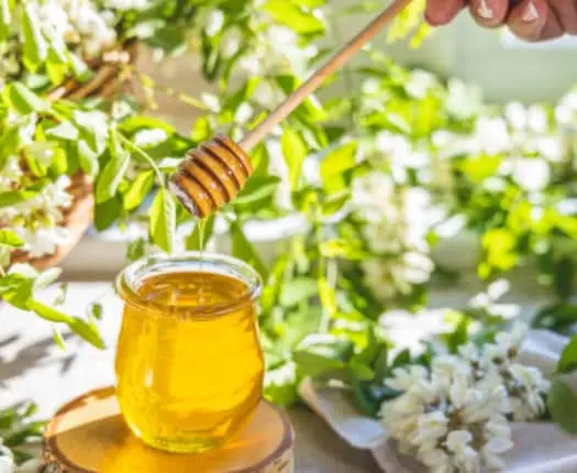 Raw Unfiltered Organic Bio Acacia Honey