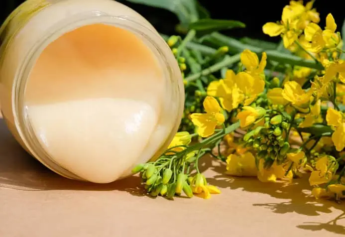 Organic Raw Unfiltered Canola Honey