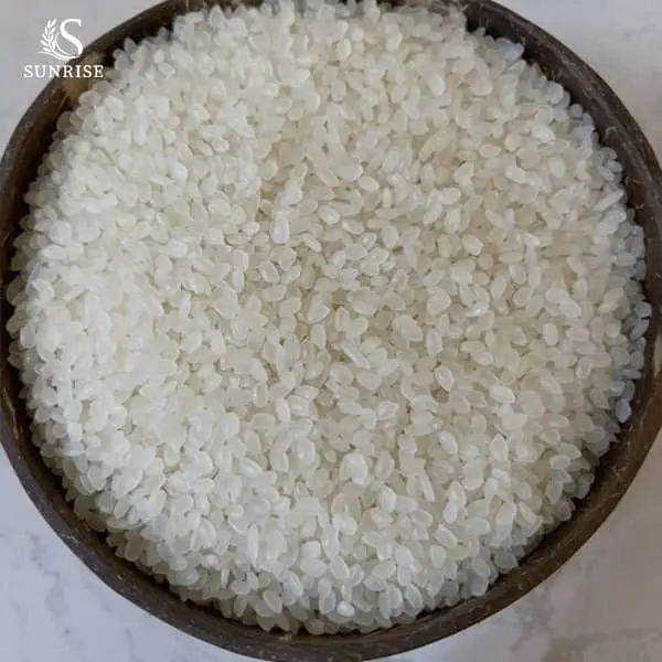 Japonica Rice for Export