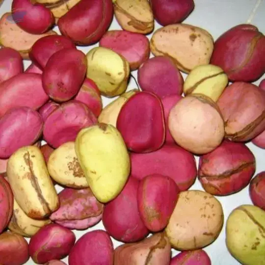 Kola nuts