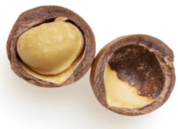 Macadamia Nuts