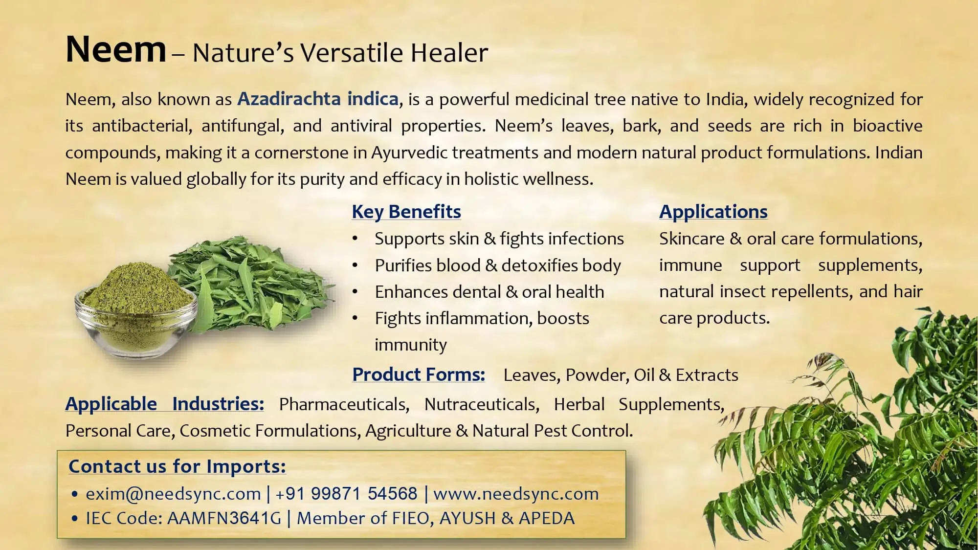 Neem Powder & Leaves