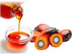 PalmOIL