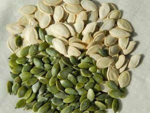 Pumpkin seeds