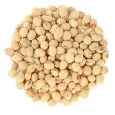 QUALITY SOYA BEANS SEED