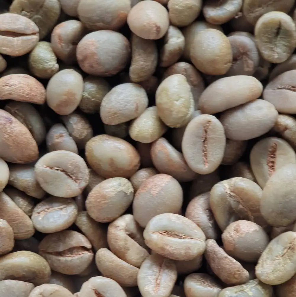 Robusta Green Bean Coffee Grade 2