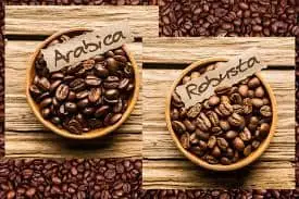 Robusta and Arabica Coffee