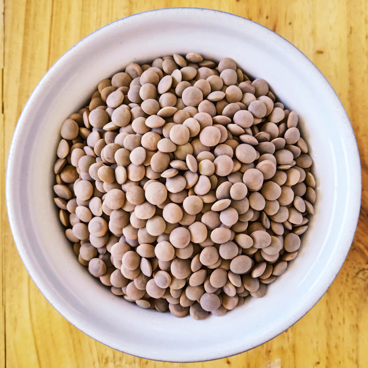 Brown Lentils