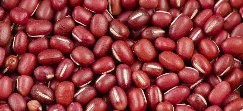 Adzuki Bean