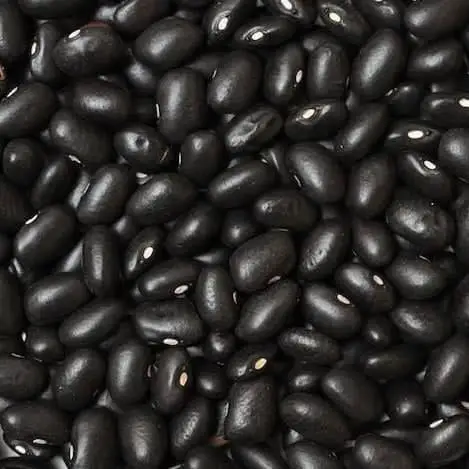 Black beans