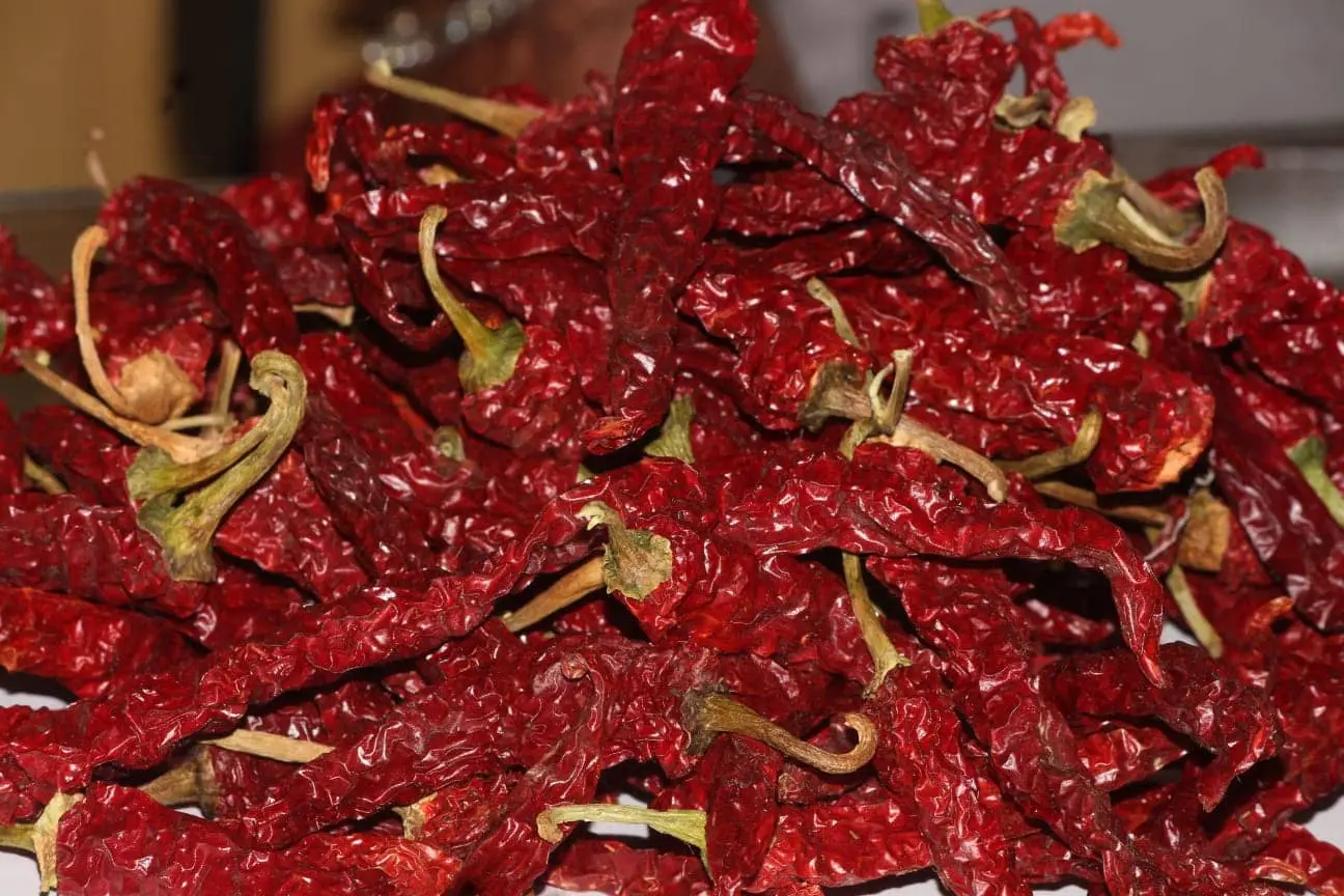 Byadagi Red Chilli