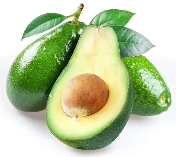 Fuerte Avocado