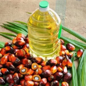 RBD Palm Oil