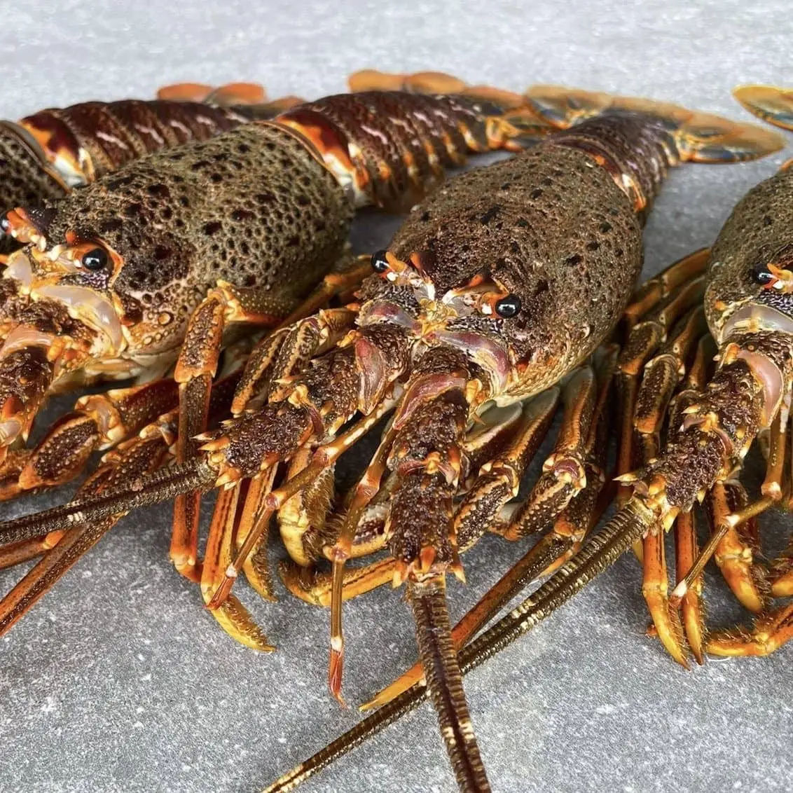 UNCRUSHED CRAYFISH
