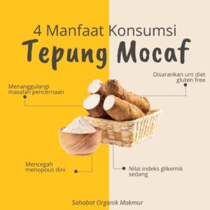 Mocaf Modified Cassava Flour