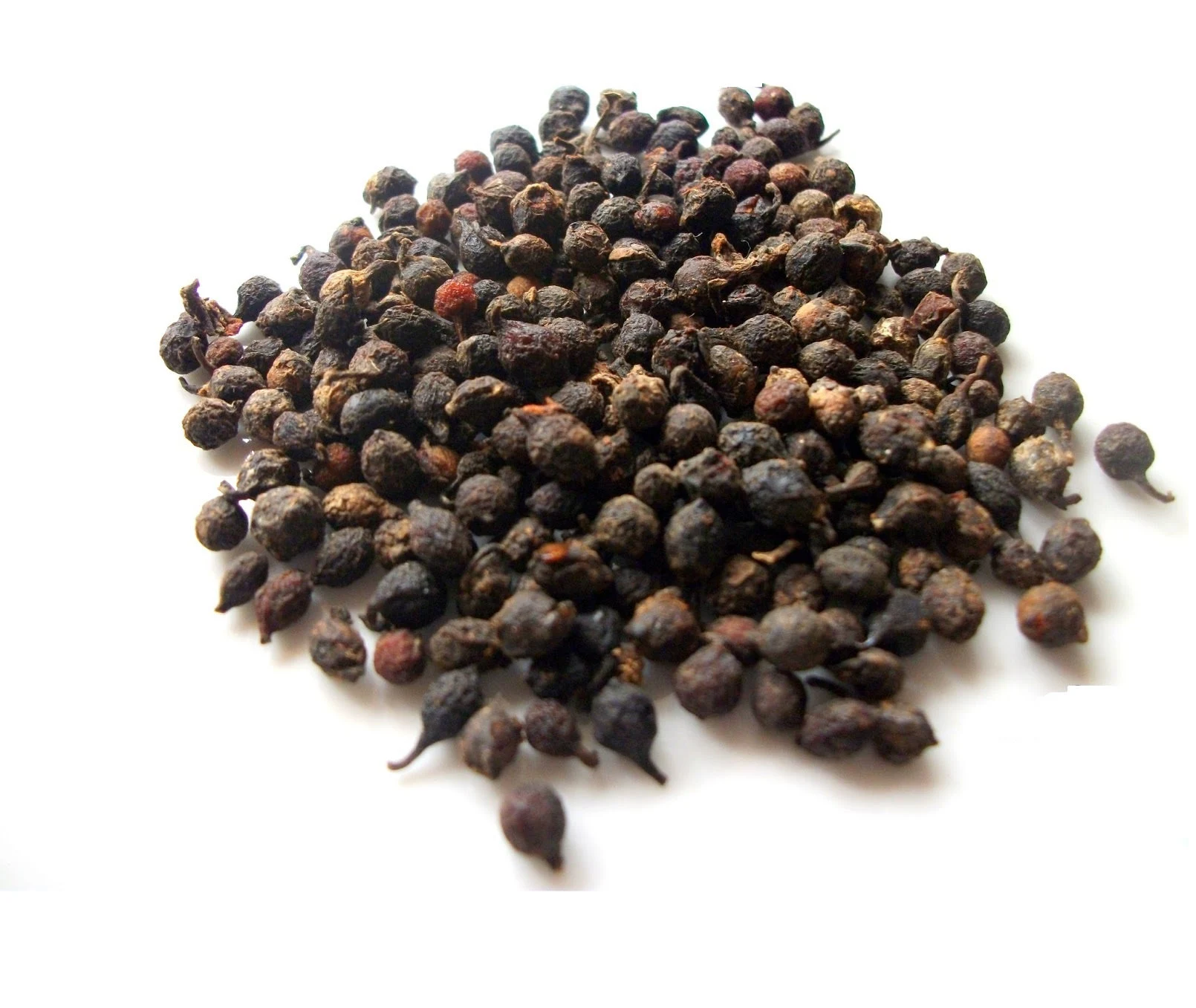 UZIZA SEEDS