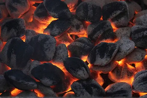 Charcoal briquettes